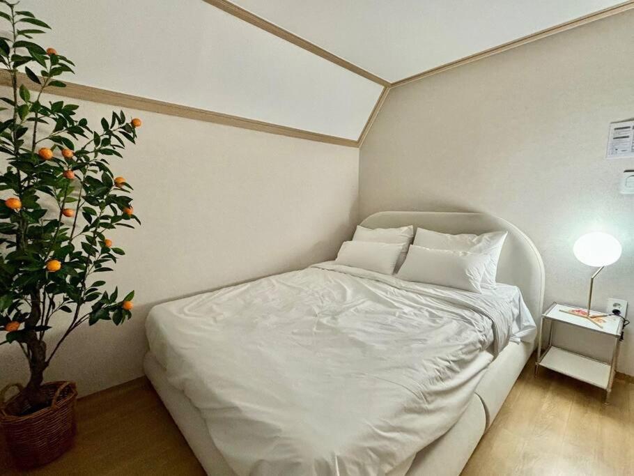 Maporest Big House Seoul