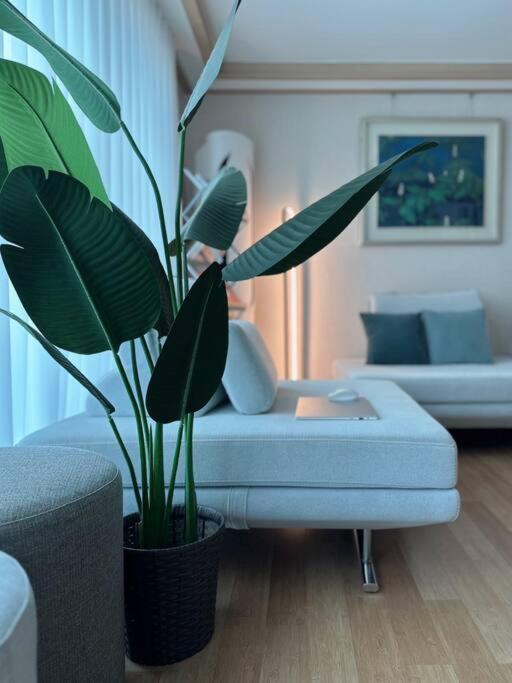 Maporest Big House Villa Seoul